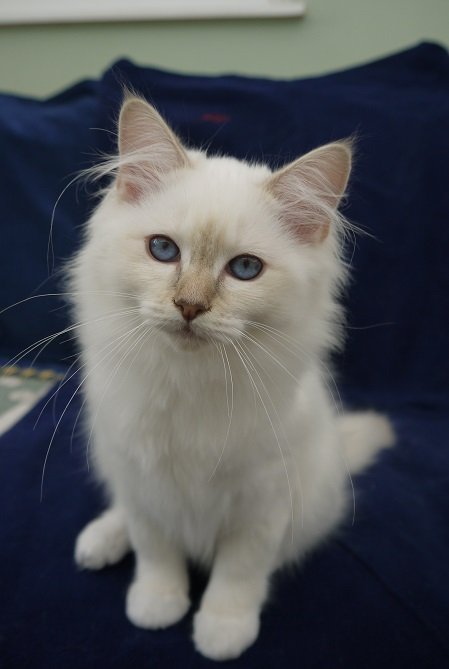 Luna